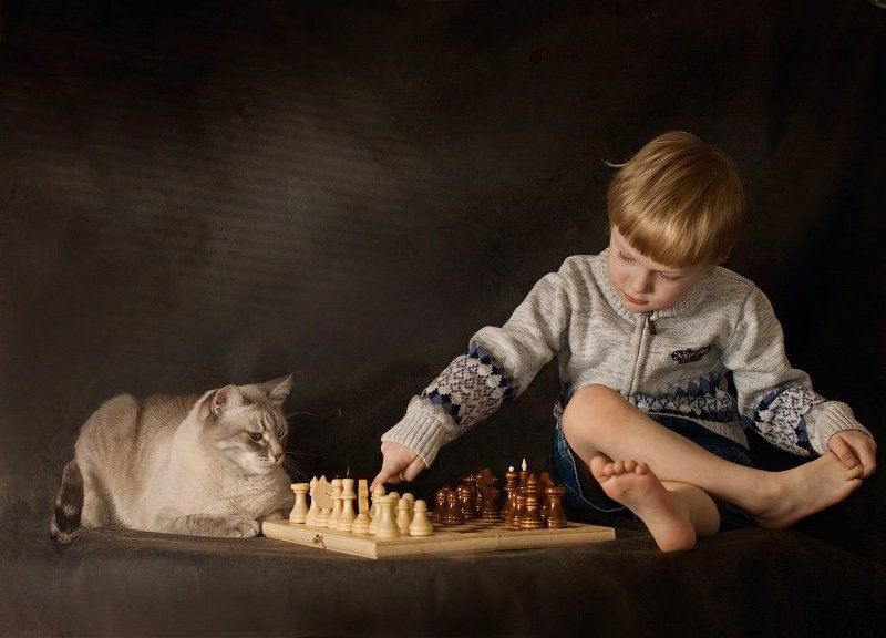 Лошадью ходи, лошадью!photo preview