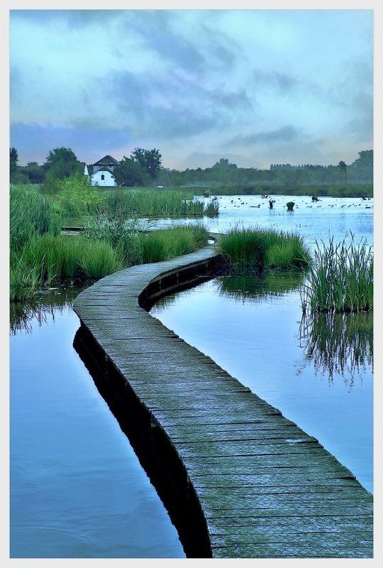 сумерки, озеро, домик, камыш, настил, Дом у озераphoto preview