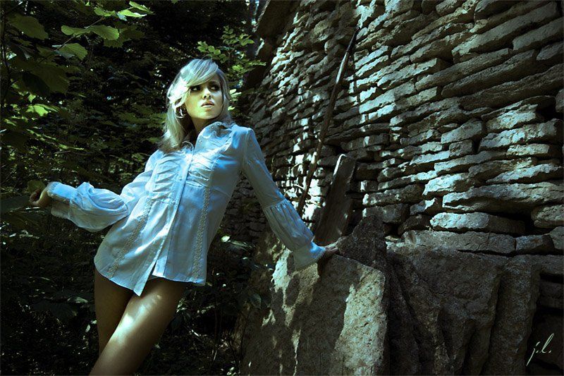 каменный дом, лес, модель В поисках...photo preview