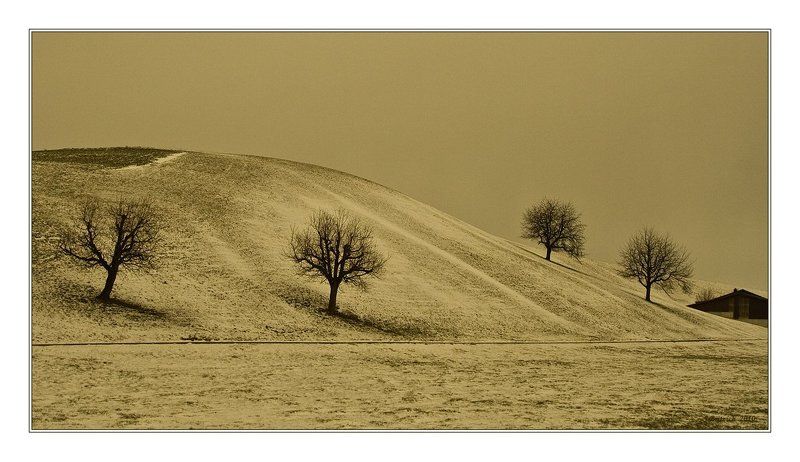 Дорогаphoto preview