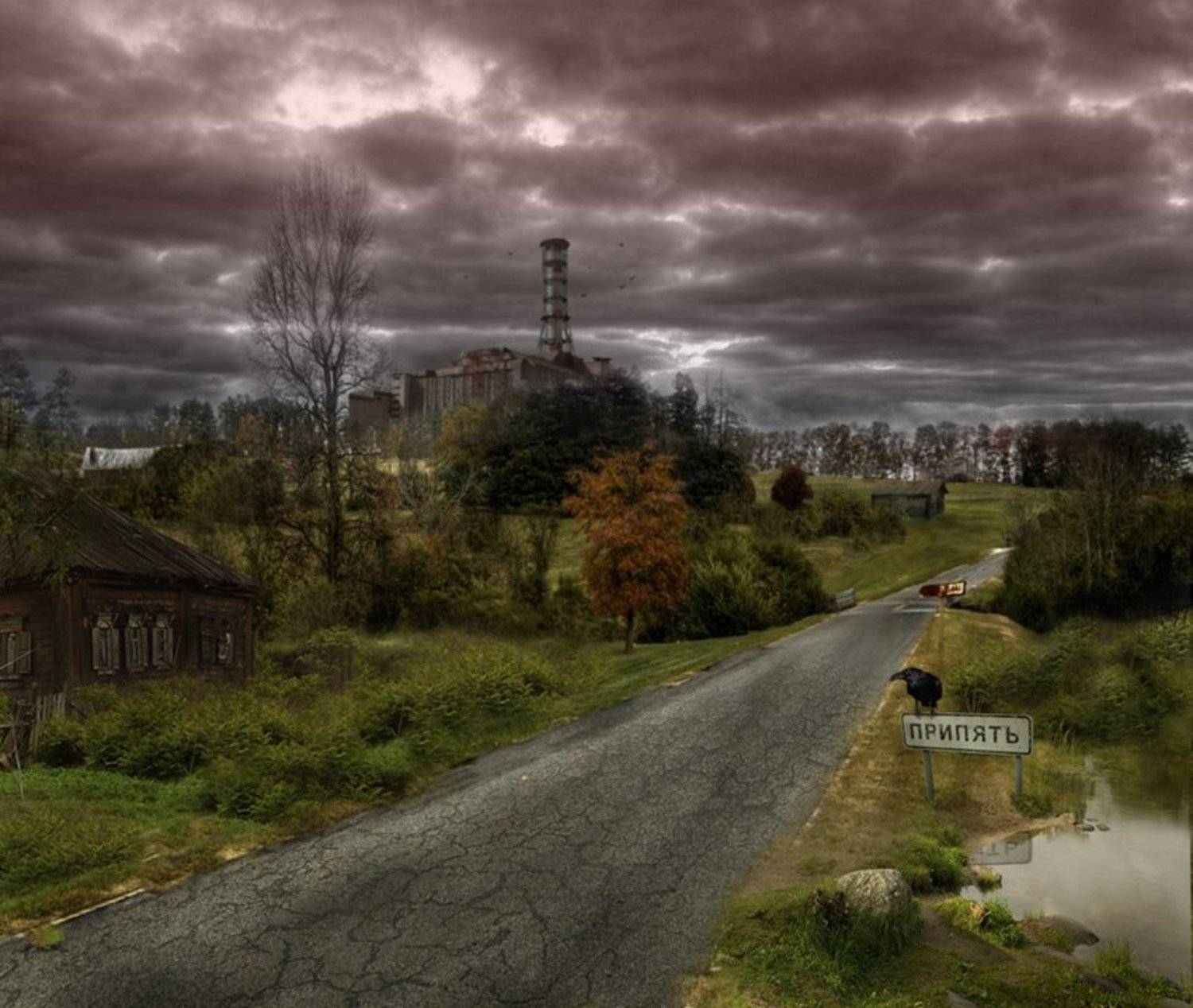 Дорога на Припять. Автор: Игорь {Товарищ} Нигматьянов , Игорь {Товарищ} Нигматьянов