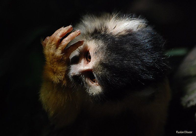 Умывайтесь дети, по утрам!photo preview