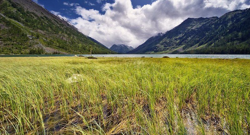 алтай, ср. мультинское озеро ****photo preview