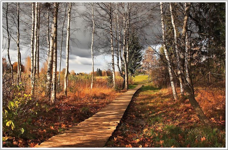 dorozhka v osen...photo preview