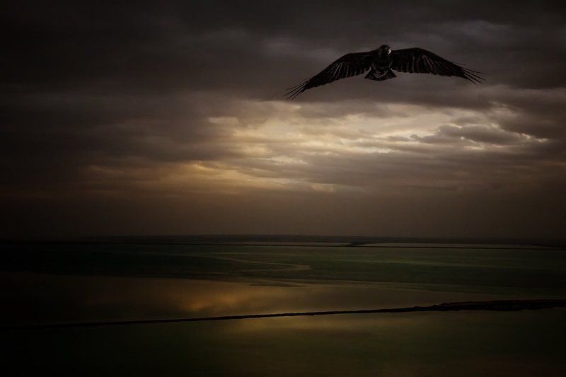 утро photo preview