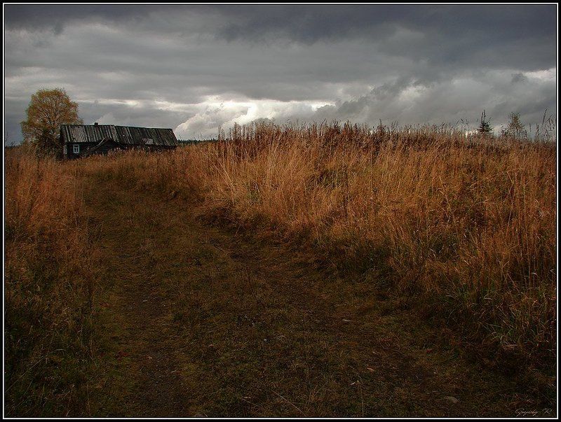 выше плечьphoto preview