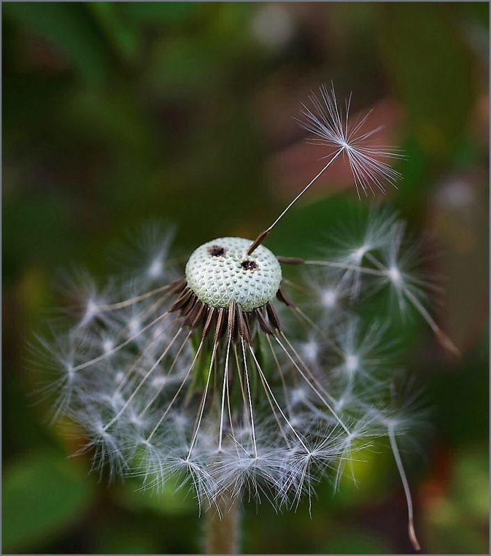 Одинокийphoto preview