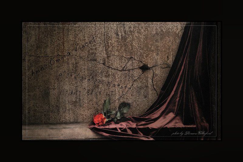 Amor omnia vincet....photo preview