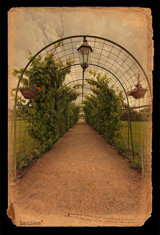 открытеа 3photo preview