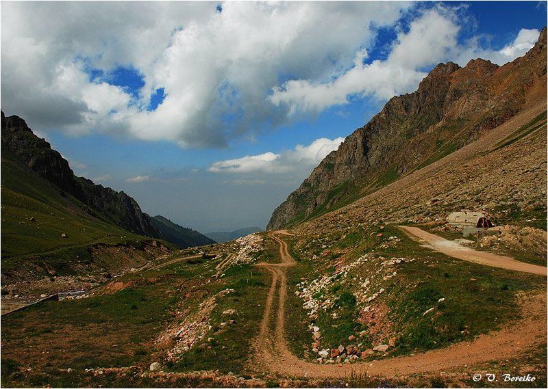 Жёлтая лентаphoto preview