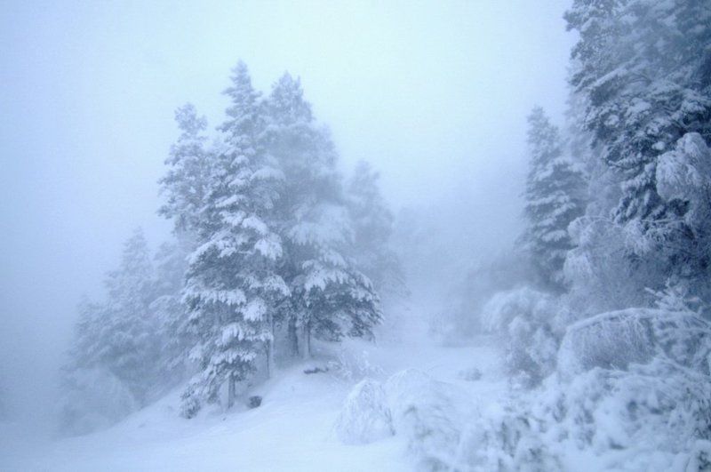 В сказкеphoto preview