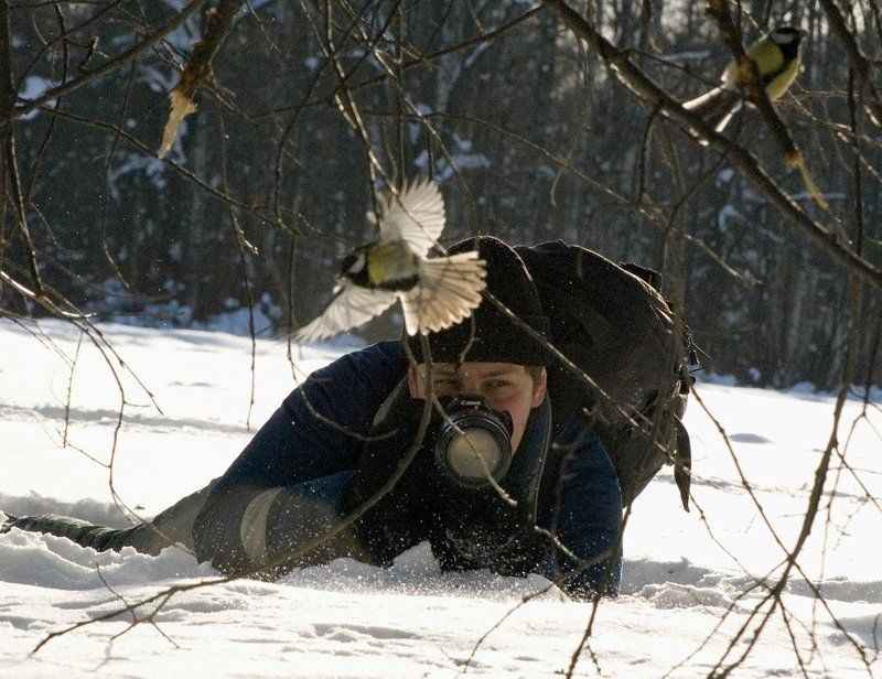 в засадеphoto preview