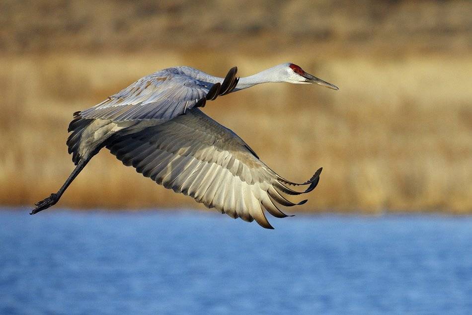 Аплодисменты!. Автор: Vadim Balakin , Vadim Balakin