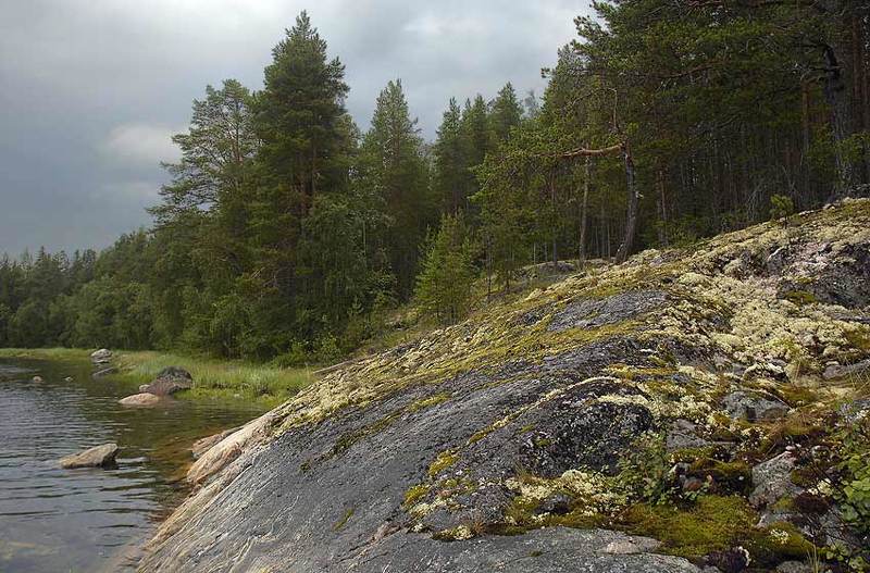 Хмурый день на Белом мореphoto preview