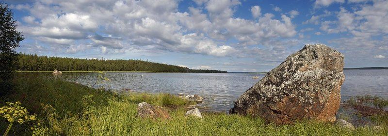 Кислая губаphoto preview