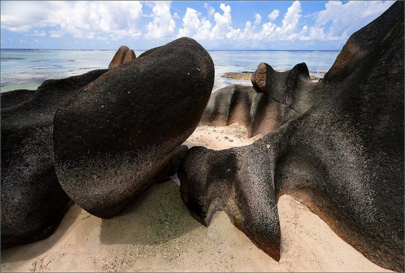 сейшелы,ла диг,сурс даржан Осьминогphoto preview