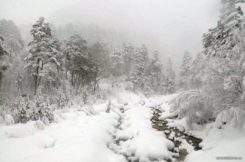 Зимний ручейphoto preview