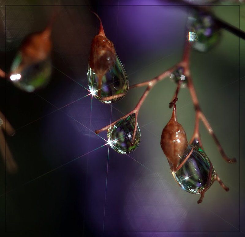 Ночные гостиphoto preview