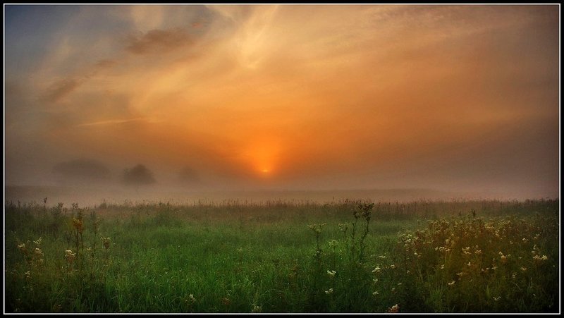 plotnij tumanphoto preview