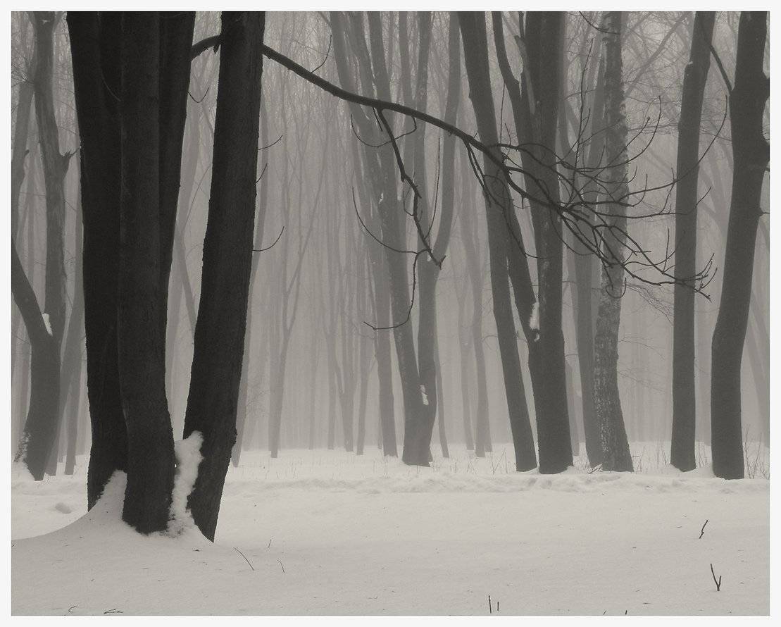 * * *. Автор: Sergey Polukarov , Sergey Polukarov