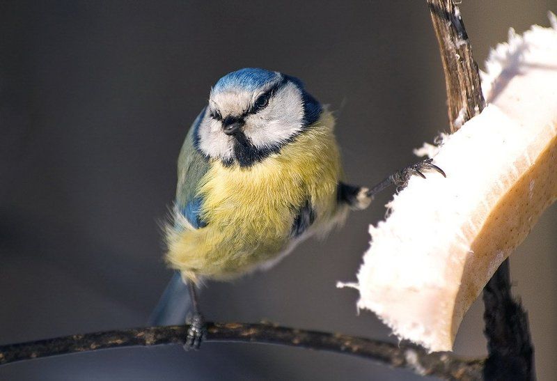 Моё!!!photo preview