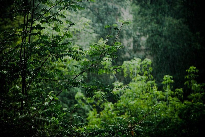 Летний Дождьphoto preview