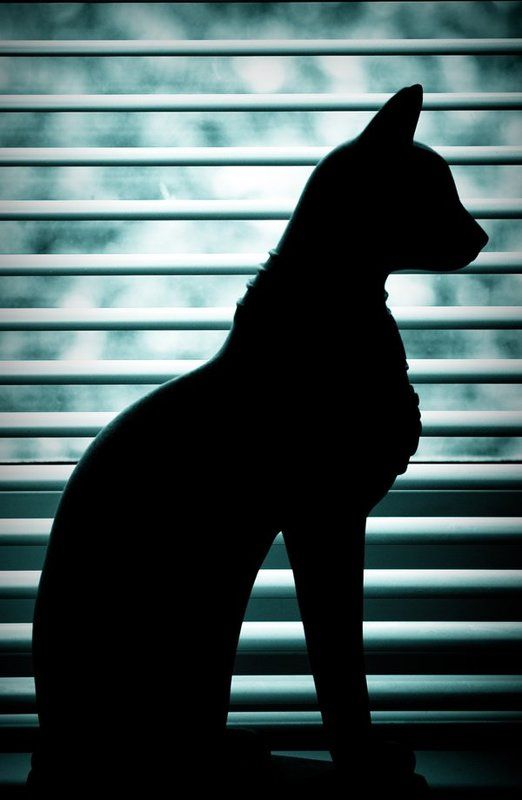 Застывшаяphoto preview