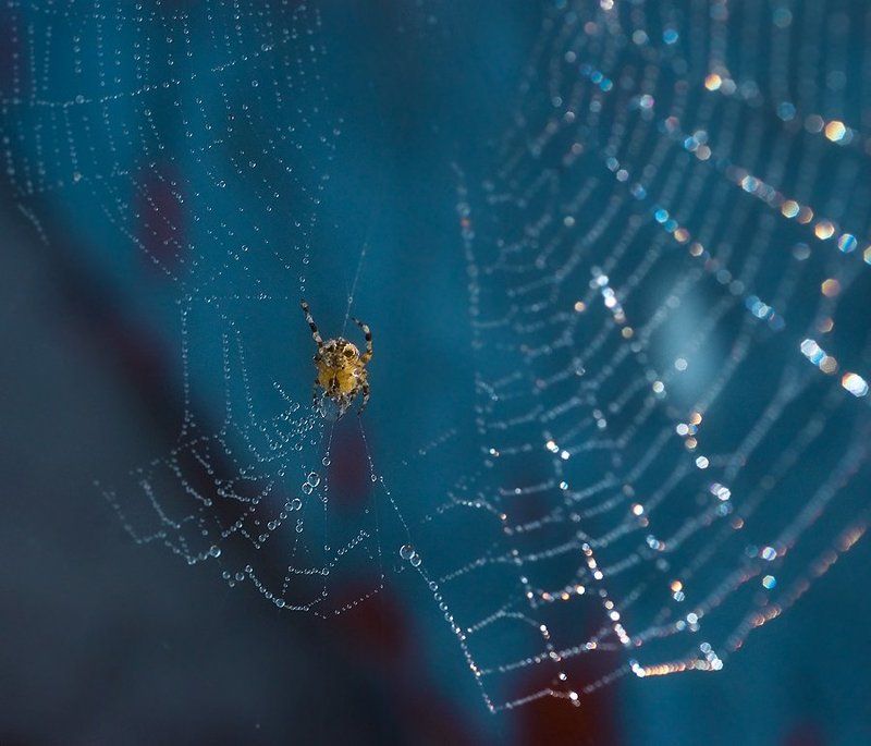 ювелирphoto preview