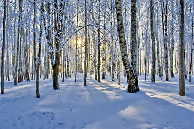 январь 2010photo preview