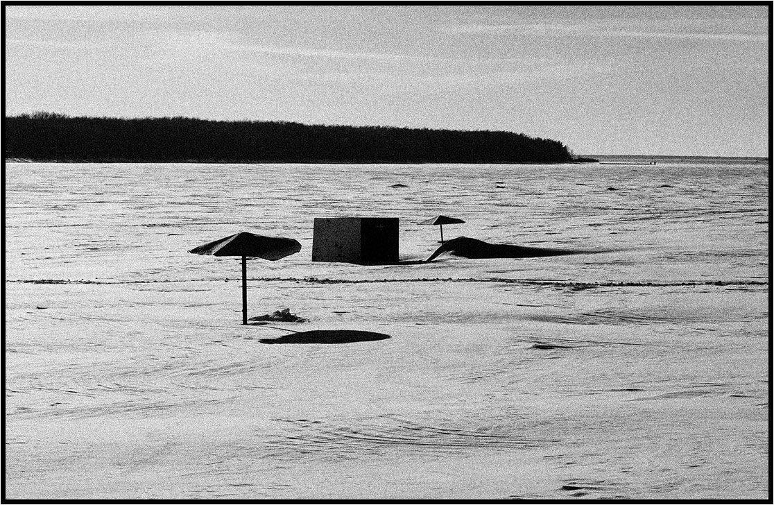 , Лунный Ежик