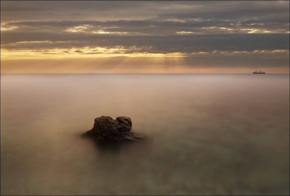 , Яна  Гайворонская