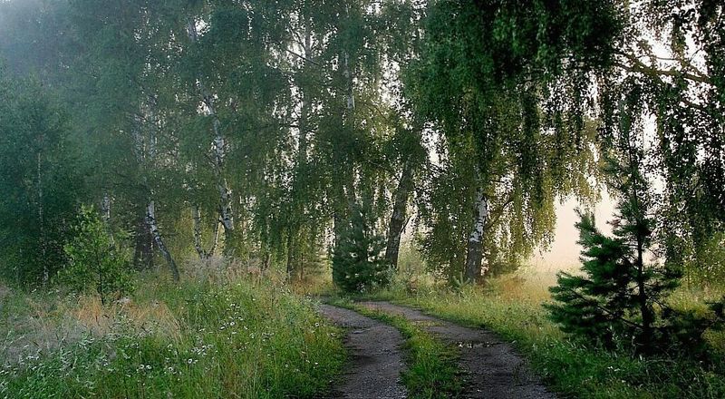 утро, Утро доброго дняphoto preview