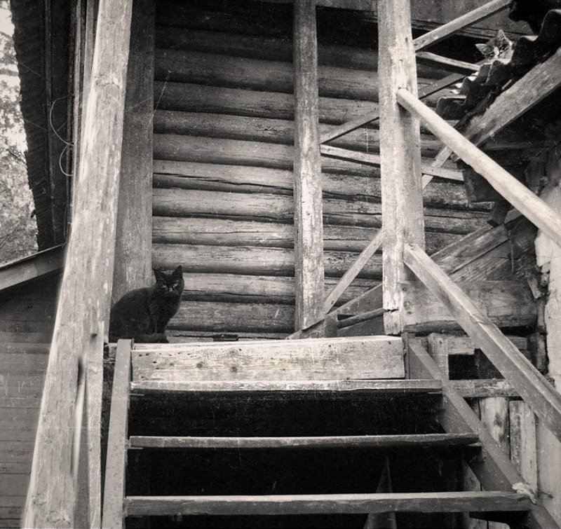 *** фото превью