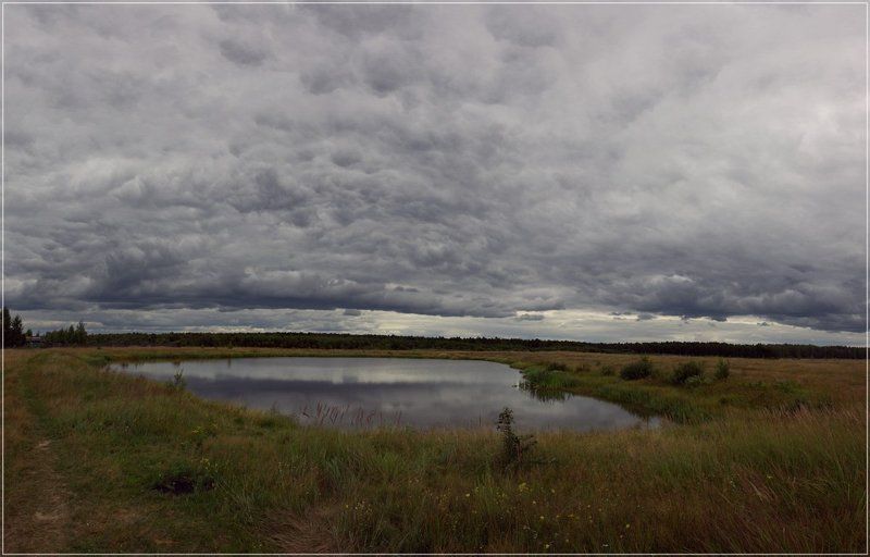 Ромашкаphoto preview