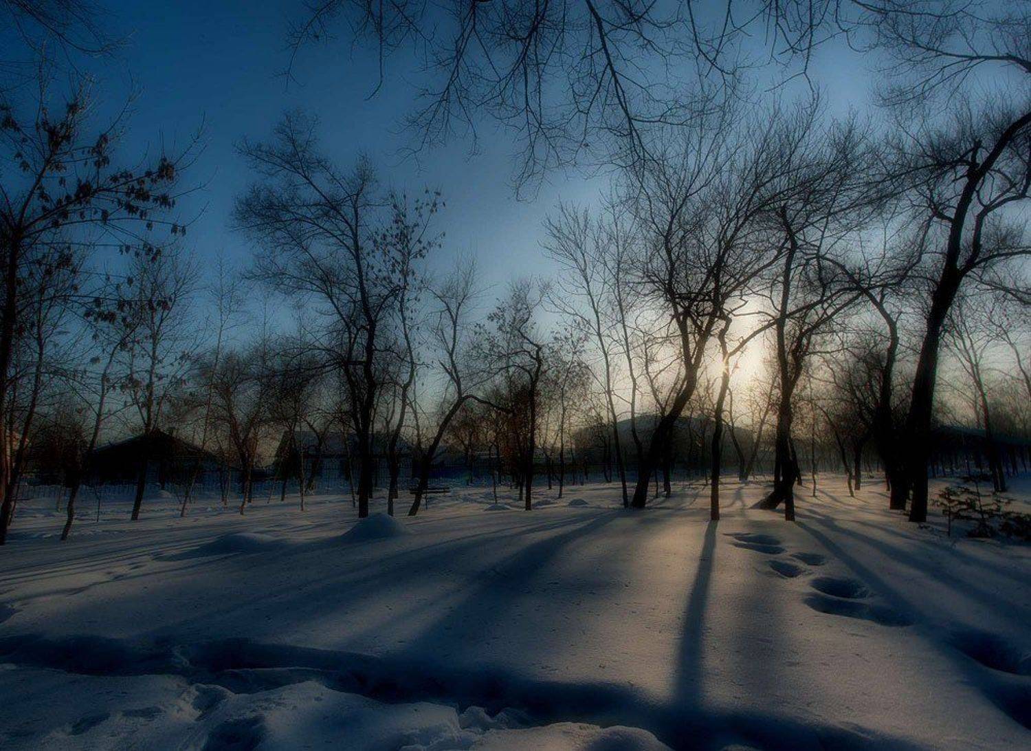 уссурийск, дора, парк, город, rizhickh