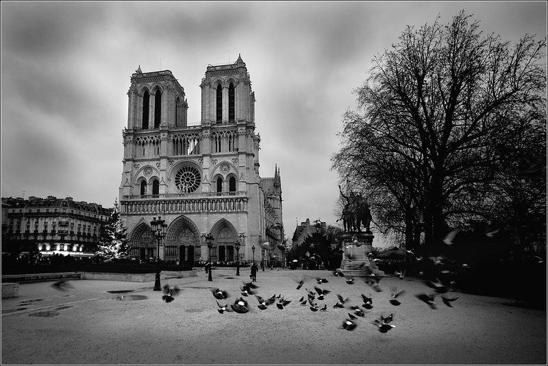 Les esprits de la cathedralephoto preview