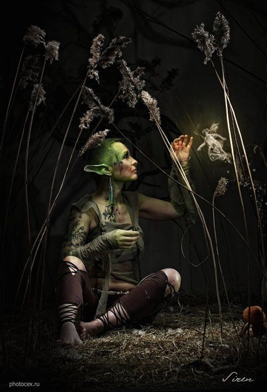 Лесные сказкиphoto preview