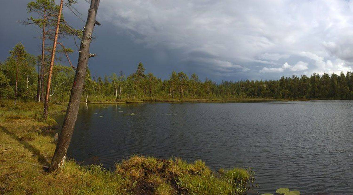 , Юрий Охлопков