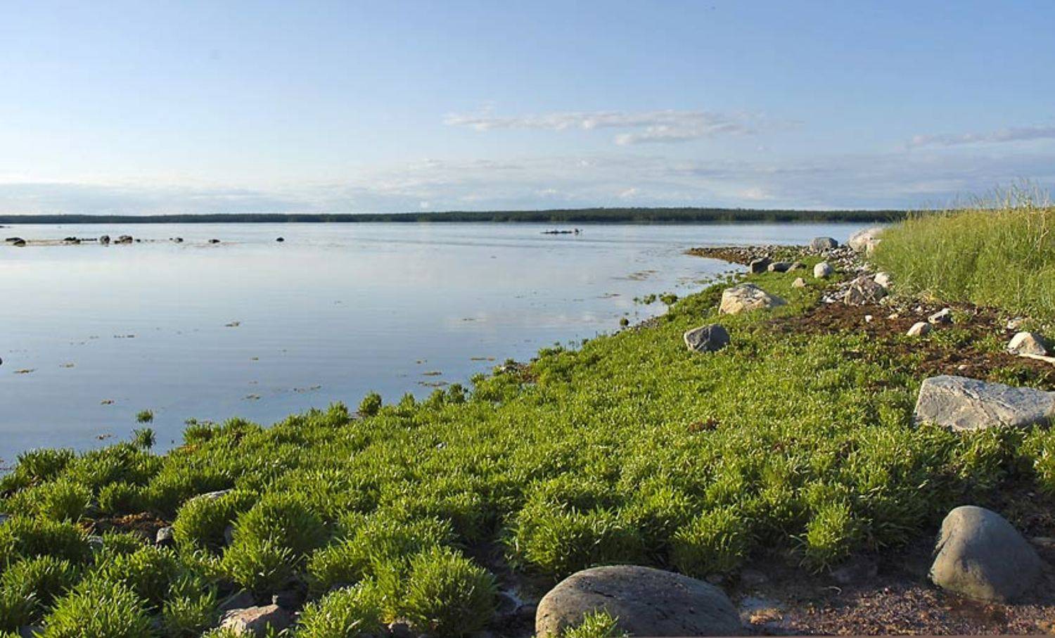 , Юрий Охлопков