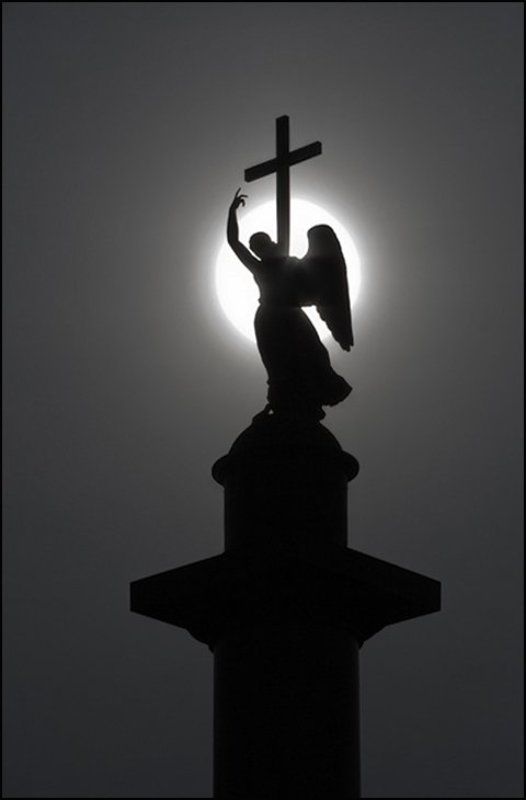 2009 *******photo preview