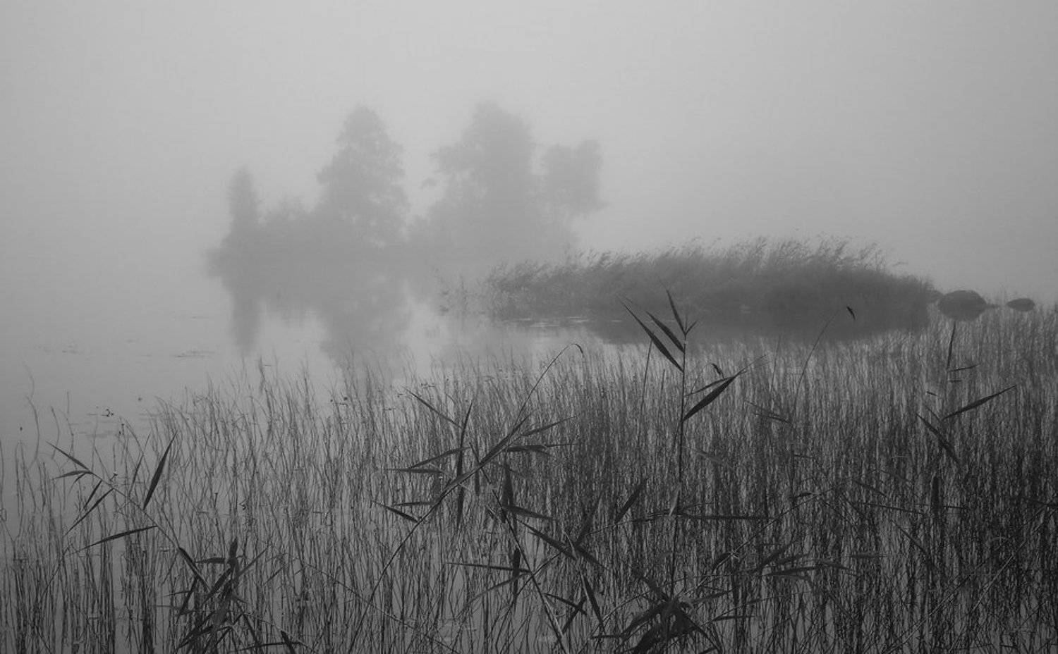 Карелия. Автор: Viktor Kalechenkov , Viktor Kalechenkov