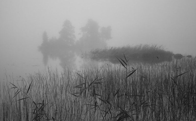 Карелияphoto preview