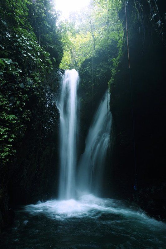 Азиатский Мотивphoto preview