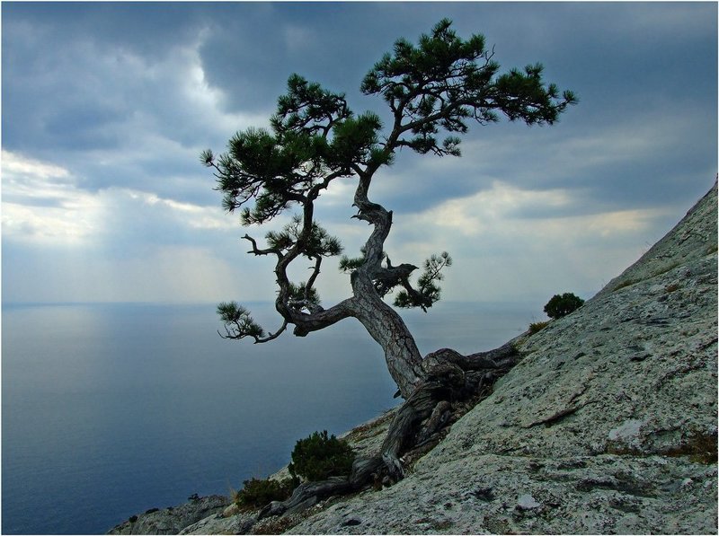 Одиночествоphoto preview