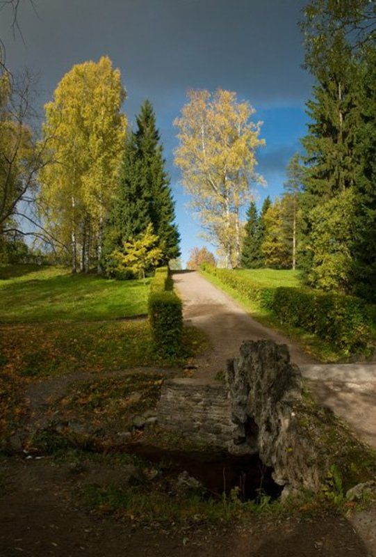 осеннееphoto preview