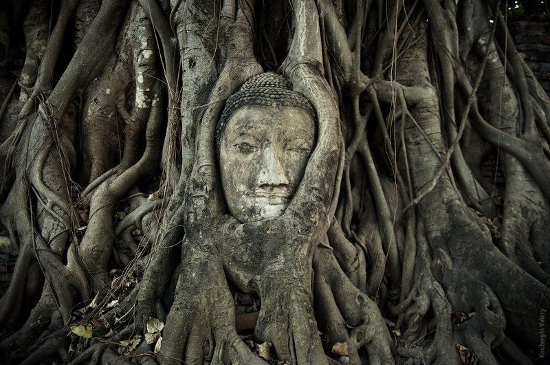 Тайланд 2010photo preview