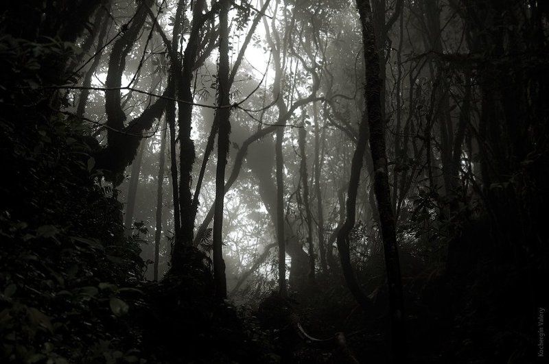 юва, малайзия Малайзия 2010photo preview