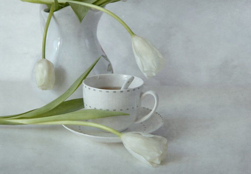 начало дня фото превью