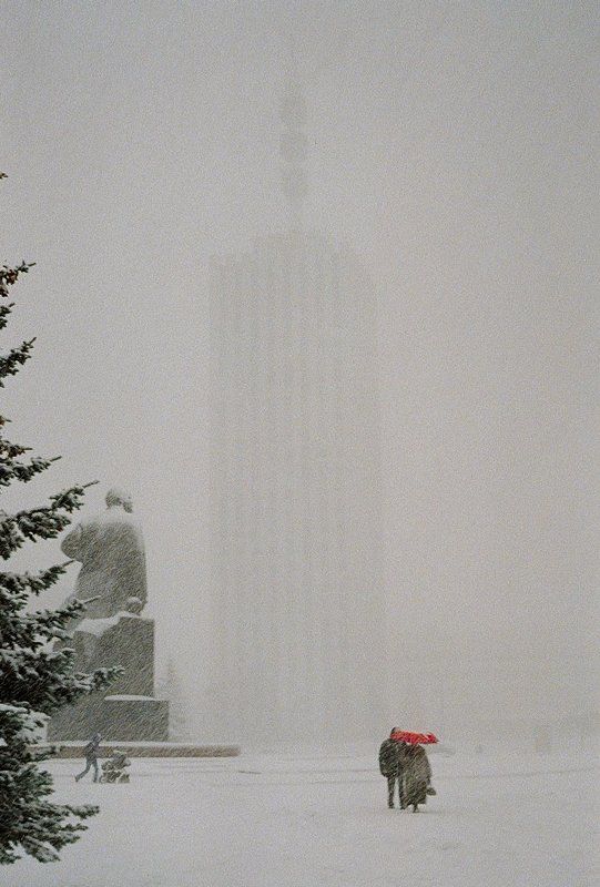 Под снегомphoto preview