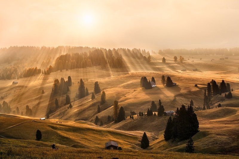 Dolomites, Italy, Alps, autumn, autumn landscape, beautiful place, travel, rays, meadows, sun, sunrise, tree, fog, mist, Alpe di Siusi Dolomitesphoto preview